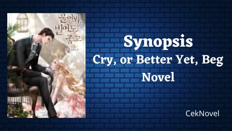 Cry or Better Yet Beg Novel
