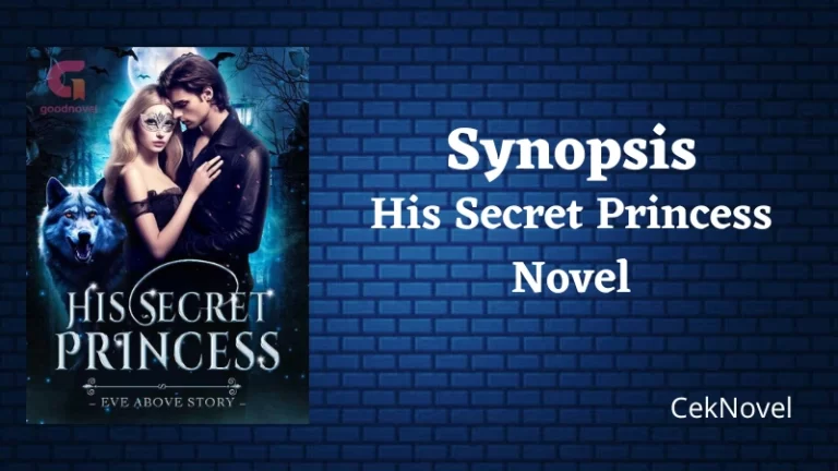 His Secret Princess Novel