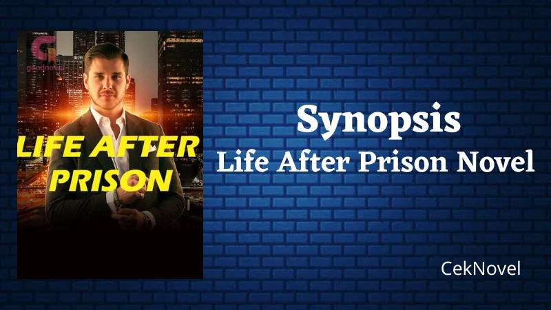 Life After Prison Novel