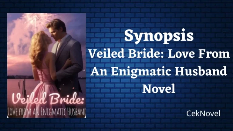 Love From An Enigmatic Husband Novel