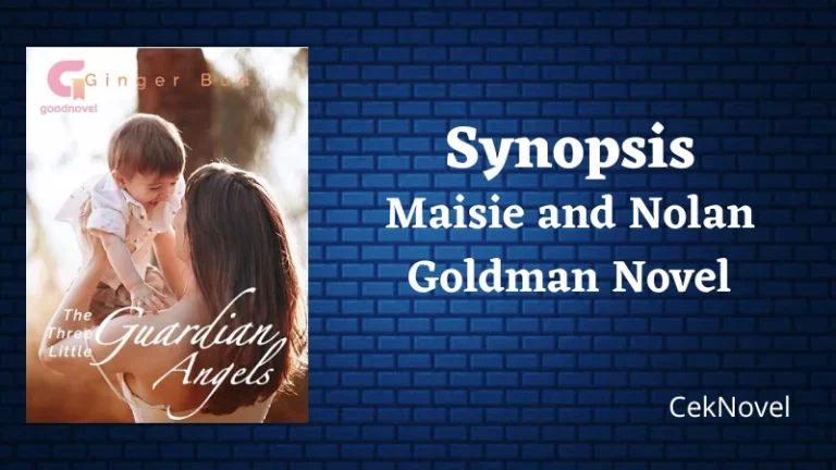 Maisie and Nolan Goldman Novel