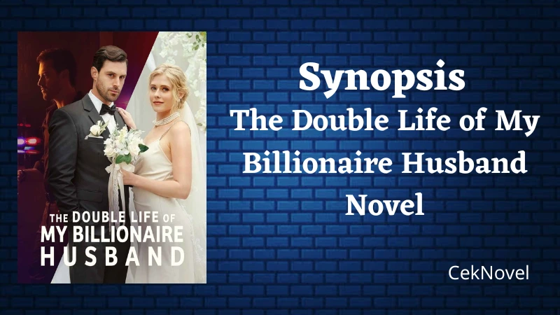 My Billionaire Husband Novel