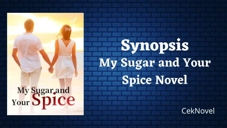 My Sugar and Your Spice Novel
