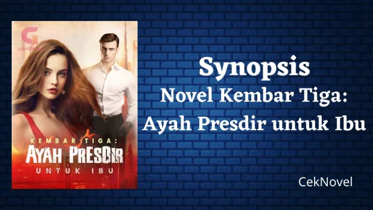 Novel Kembar Tiga