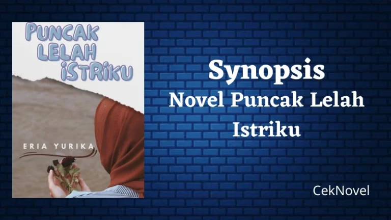 Novel Puncak Lelah Istriku