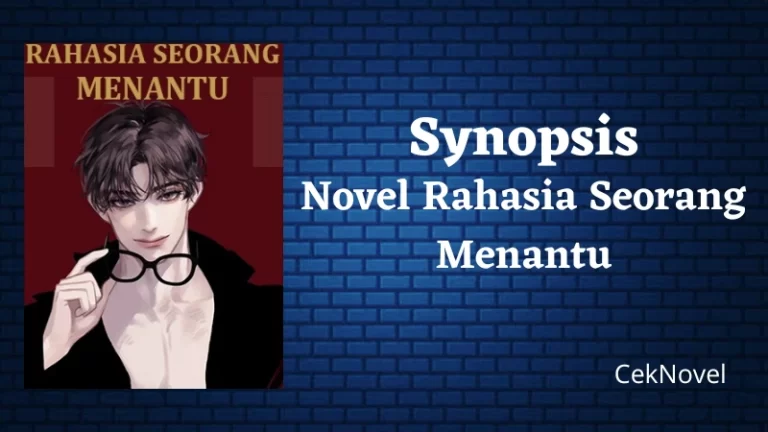 Novel Rahasia Seorang Menantu