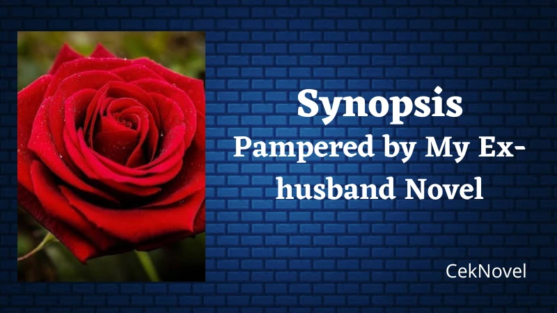 Pampered by My Ex husband Novel