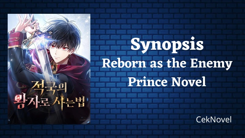 Reborn as the Enemy Prince Novel
