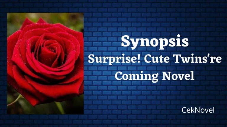 Surprise Cute Twinsre Coming Novel
