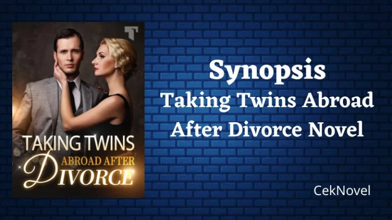 Taking Twins Abroad After Divorce Novel