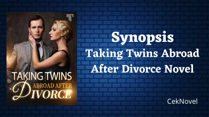 Taking Twins Abroad After Divorce Novel