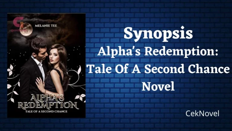 Tale Of A Second Chance Novel