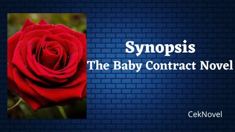The Baby Contract Novel 1