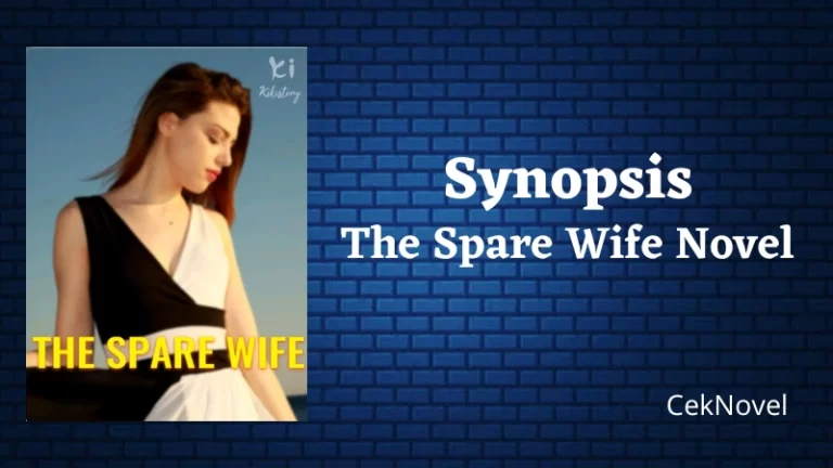 The Spare Wife Novel