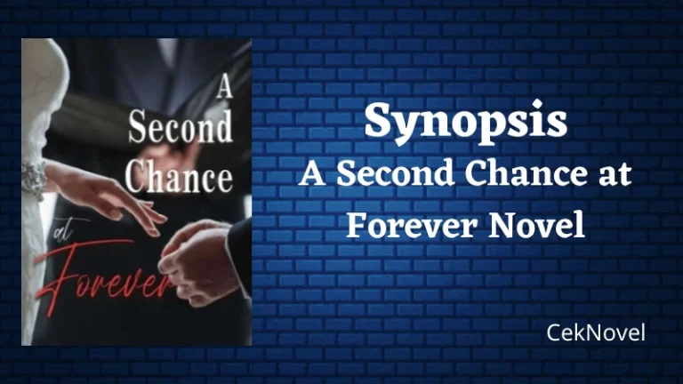 A Second Chance at Forever Novel