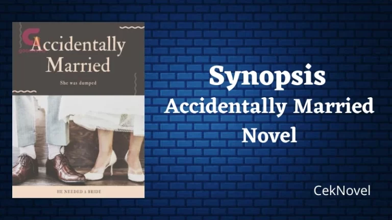 Accidentally Married Novel