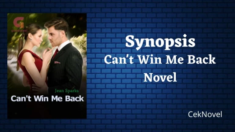 Cant Win Me Back Novel