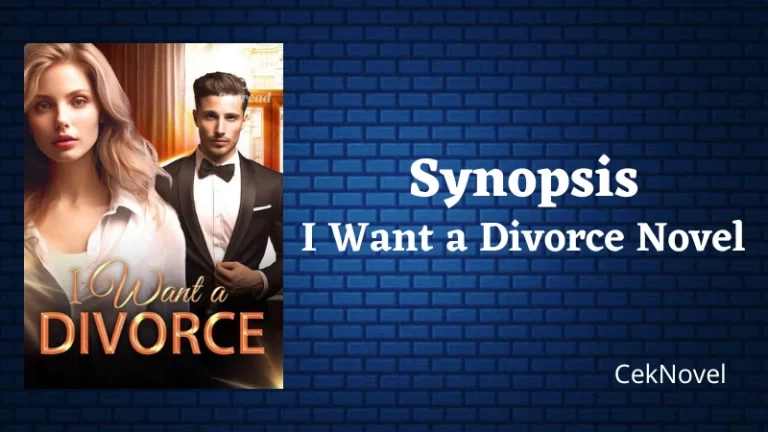 I Want a Divorce Novel