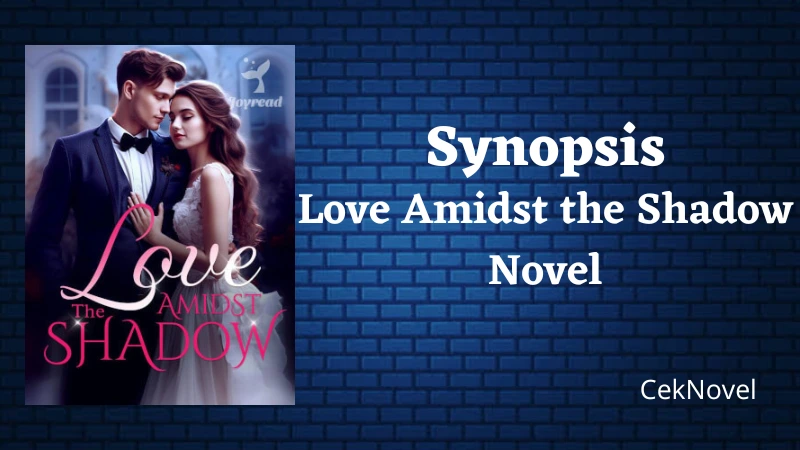 Love Amidst the Shadow Novel
