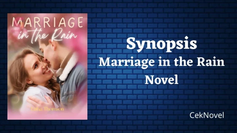 Marriage in the Rain Novel