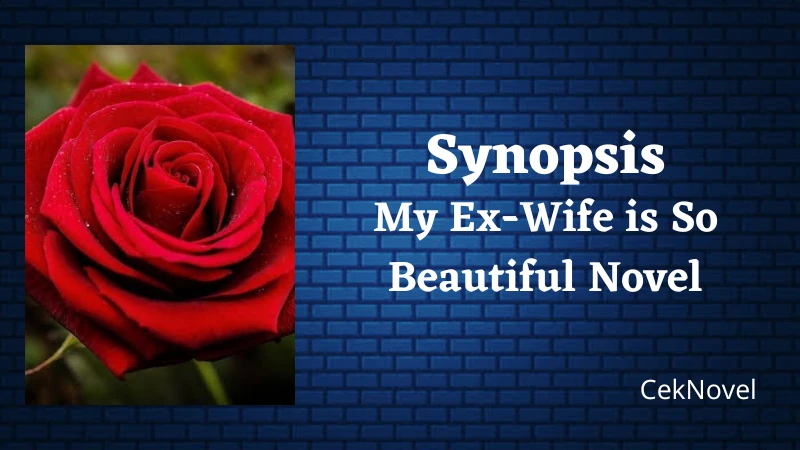 My Ex Wife is So Beautiful Novel