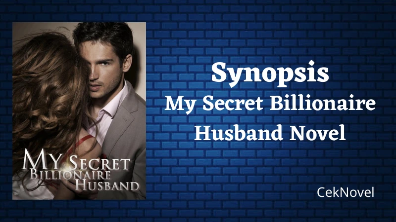 My Secret Billionaire Husband Novel