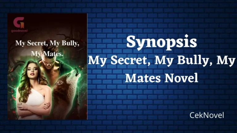 My Secret My Bully My Mates Novel