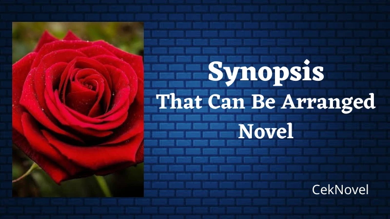 That Can Be Arranged Novel