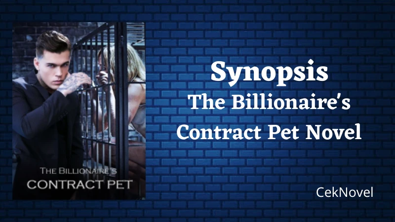 The Billionaires Contract Pet Novel