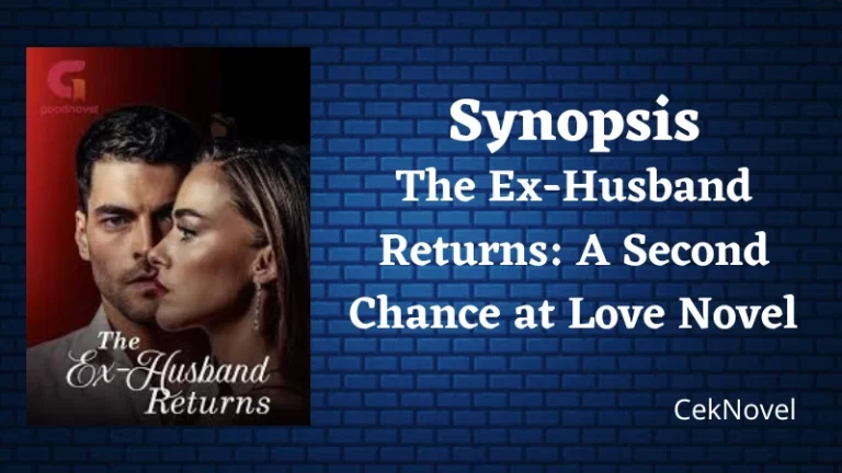 A Second Chance at Love Novel