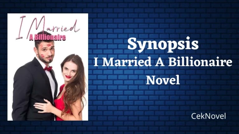 I Married A Billionaire Novel