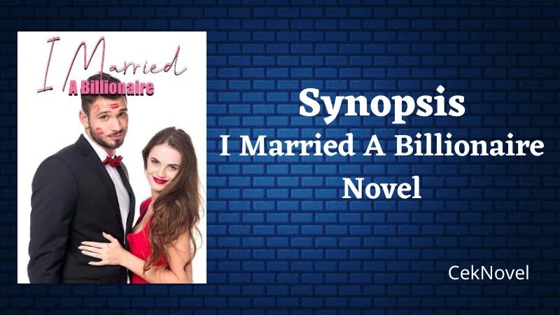 I Married A Billionaire Novel