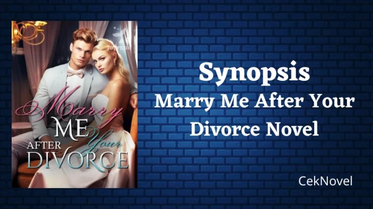 Marry Me After Your Divorce Novel