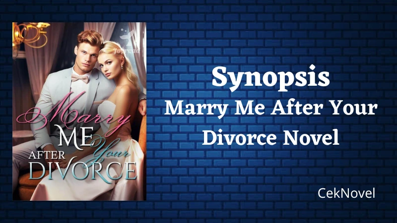 Marry Me After Your Divorce Novel