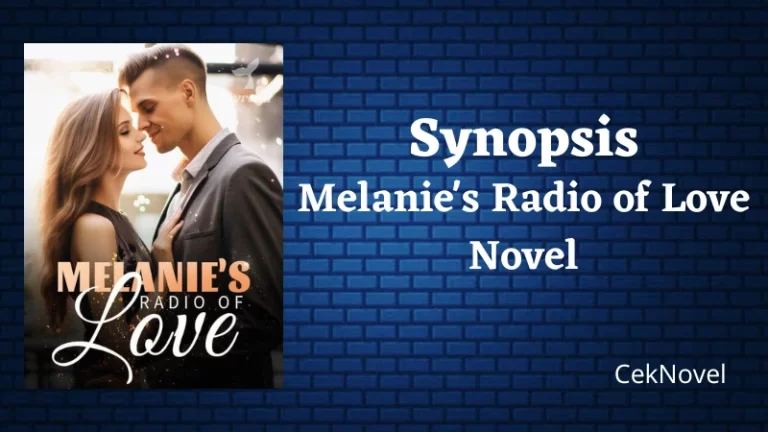 Melanies Radio of Love Novel