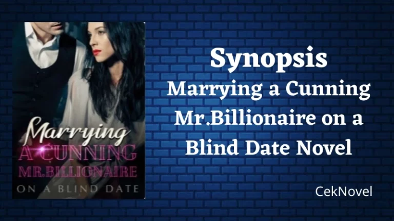 Mr.Billionaire on a Blind Date Novel