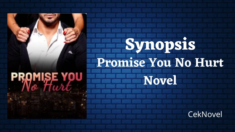 Promise You No Hurt Novel
