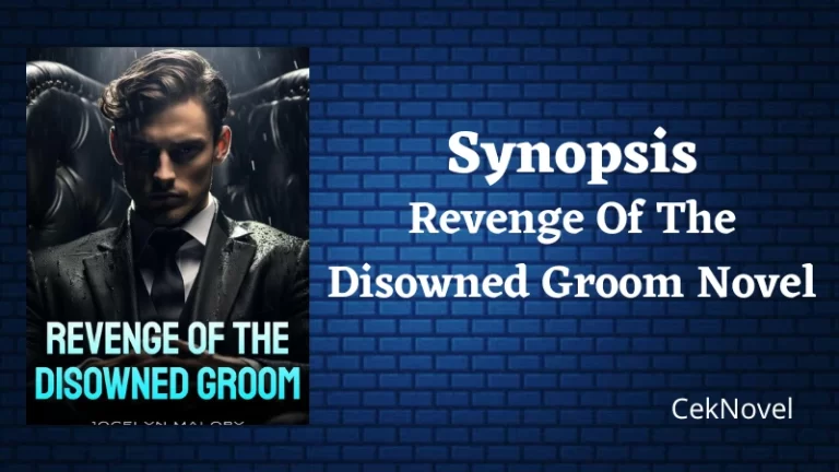 Revenge Of The Disowned Groom Novel