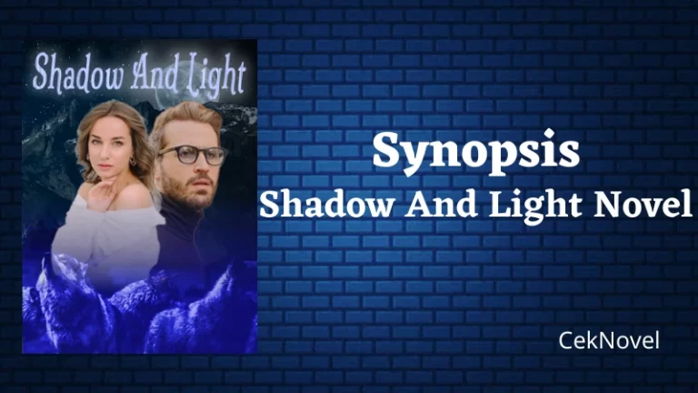 Shadow And Light Novel