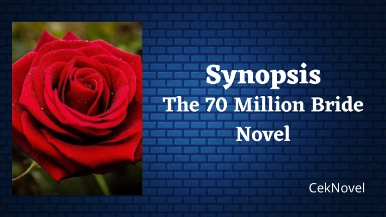 The 70 Million Bride Novel