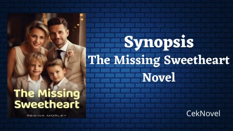 The Missing Sweetheart Novel