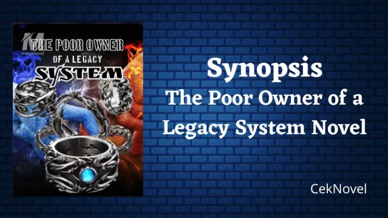 The Poor Owner of a Legacy System Novel