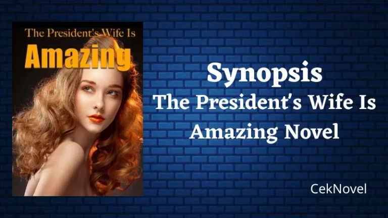 The Presidents Wife Is Amazing Novel