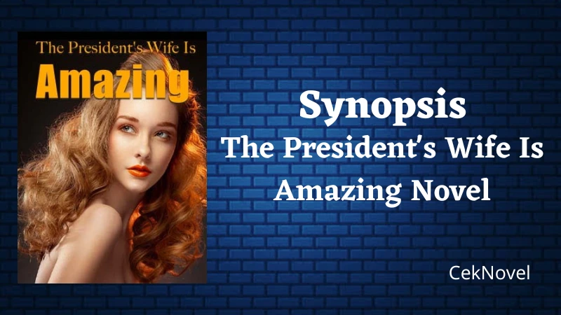 The Presidents Wife Is Amazing Novel