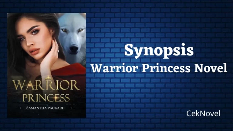 Warrior Princess Novel