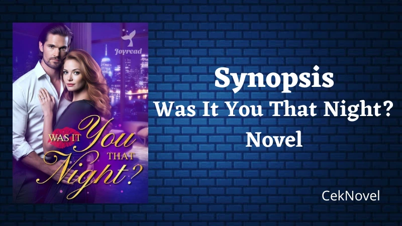 Was It You That Night