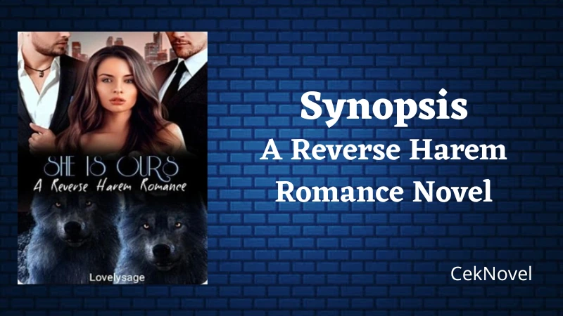 A Reverse Harem Romance Novel