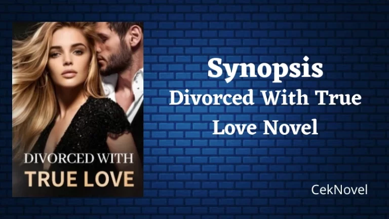 Divorced With True Love Novel