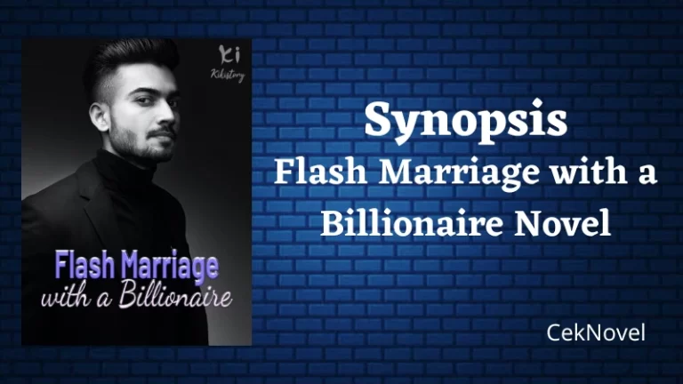 Flash Marriage with a Billionaire Novel
