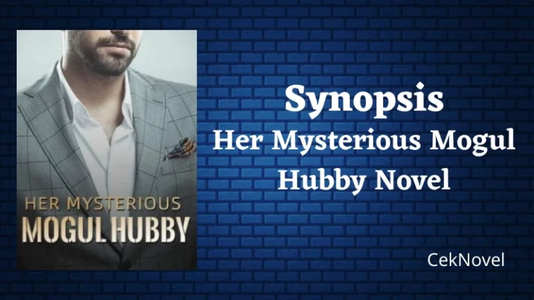 Her Mysterious Mogul Hubby Novel